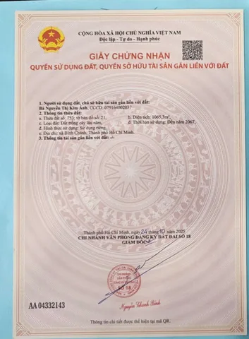 Bán đất 1065m² ngang 16m giá 6.5 tỷ tại Xã Bình Chánh