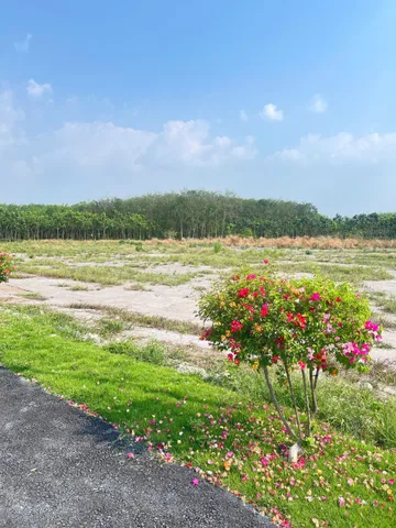 Bán đất 215m² có sẵn 50m² thổ cư ngang 5m giá 570 triệu gần KCN tại Đường số 8 Phường Minh Hưng