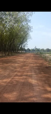 Bán đất 4900m² có sẵn 200m² thổ cư ngang 10m giá 2.45 tỷ tại Xã Thanh An tphcm