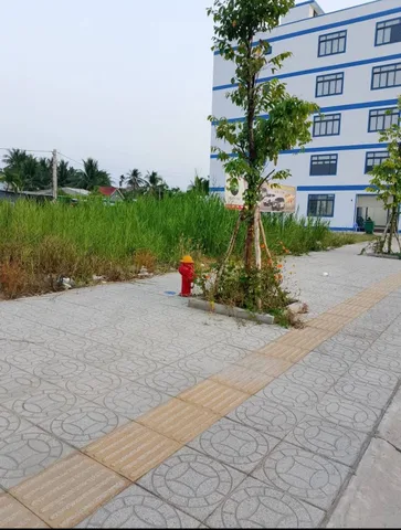 Bán đất mặt tiền đường D7 cách Nguyễn Công Bình 200m