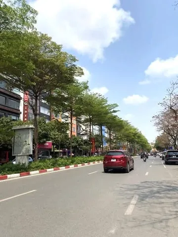 Trần Thái Tông-Xuân Thuỷ 43m2, thang máy, oto đỗ cửa, 16.t.ỷ Sát mặt phố