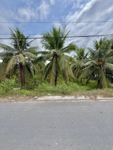 🌳 ĐẤT MẶT TIỀN NHỰA 12M – HƠN 200M²/NỀN 🏡