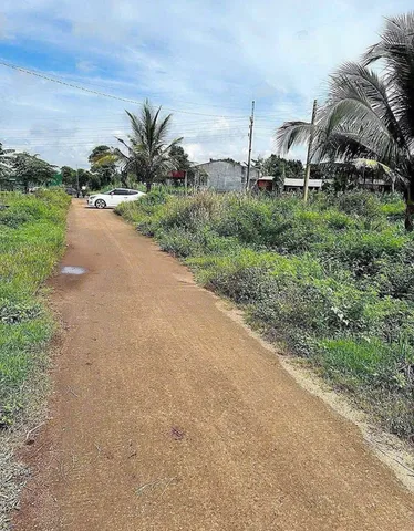 Khánh Xuân - Duy hoà 
Cách  qlo 14 chỉ 800m diện tích 429m2.11m giá 1ty350