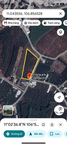 Bán đất 8025m² 40 tỷ tại Xã Thường Tân Huyện Bắc Tân Uyên (TPHCM mới)