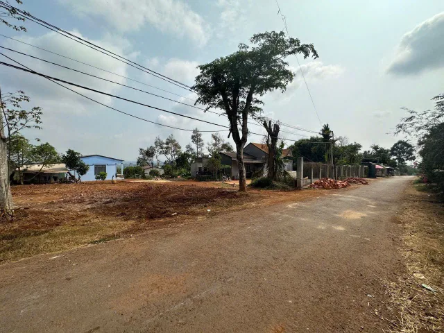 BÁN ĐẤT VÀNG KOMLEO