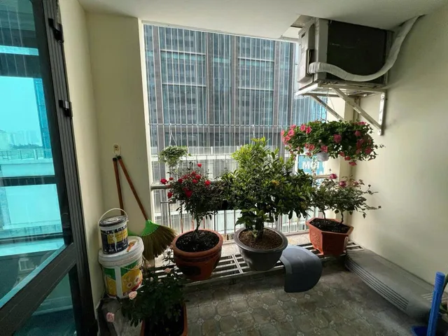 ✨ Golden Land Hoàng Huy Thanh Xuân – Duplex – 109m – 11 tỷ ✨