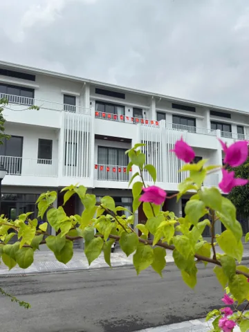 Nhà 3 tầng liền kề Dahlia thành phố Huế, chiết khấu cực lớn cho khách hàng tại thời điểm này