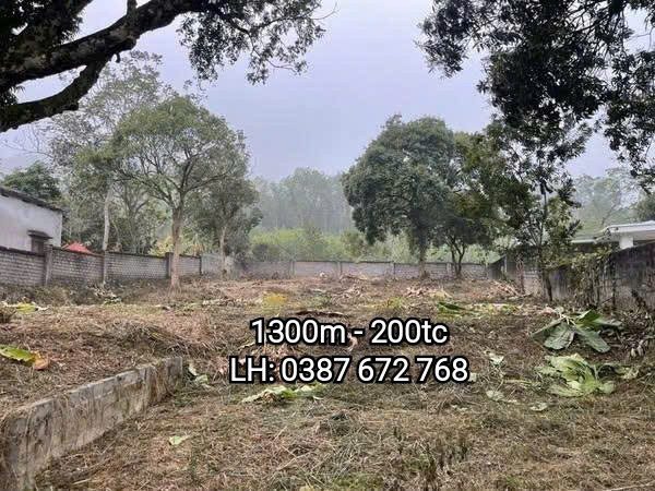 1300m có 200m đất ở - Lâm Sơn, Lương Sơn - chỉ hơn 2tr/m