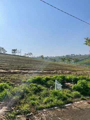 🌿 ĐẤT NGHỈ DƯỠNG VIEW HỒ – LÀNG OMM BẢO LỘC