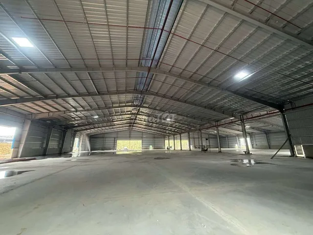 Cho thuê xưởng mới xây 5.000m2.Đầy đủ giấy tờ.Cổng xanh,Phú giáo ,HCM