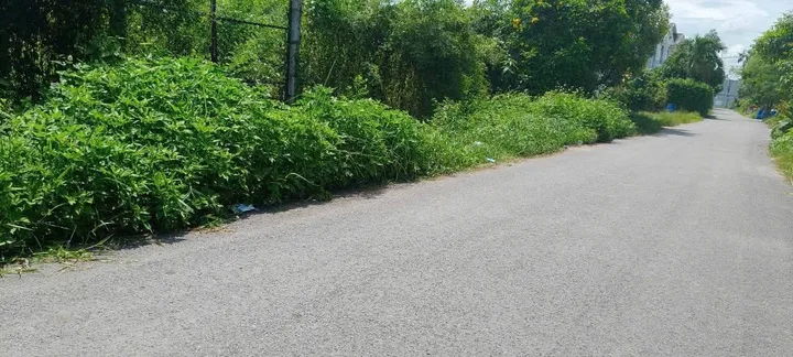 Bán đất thổ cư đường nhựa sát Tỉnh Lộ 2 xã Tân Thông Hội Củ Chi TPHCM, DT: 2200m2.