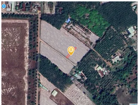 Bán đất 225.6m² có sẵn 100m² thổ cư ngang 5m giá 750 triệu tại Phường Chơn Thành