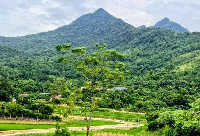 Bán 1252m2 đất mặt đường nhựa Minh Quang Ba Vì, có ao, view núi, vuông, nở hậu, gần K9, Đền Hạ, 3.99tỷ