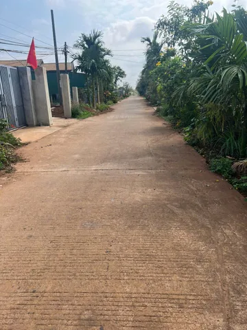 ĐẤT SAU KHO THÁI PHÚC