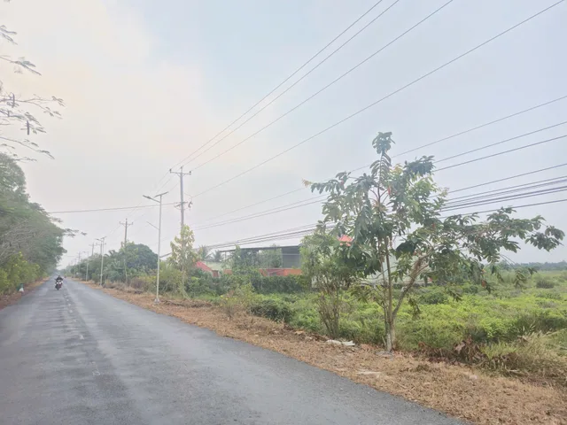 Bán 8ha đất mặt tiền nhựa ĐH41 gần chợ Thạnh Tân, Thuyền viện trúc lâm, trại giam Tân Phước, Tiền Giang