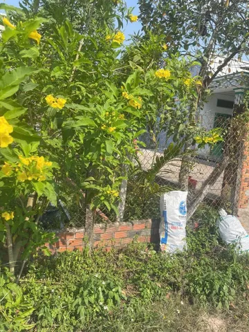 Hàng ngộp. Đất thổ cư đường ôtô xe Tải xã Trung Lập Hạ Củ Chi TPHCM, DT: 5x18m, giá ngộp thở: 880 triệu.