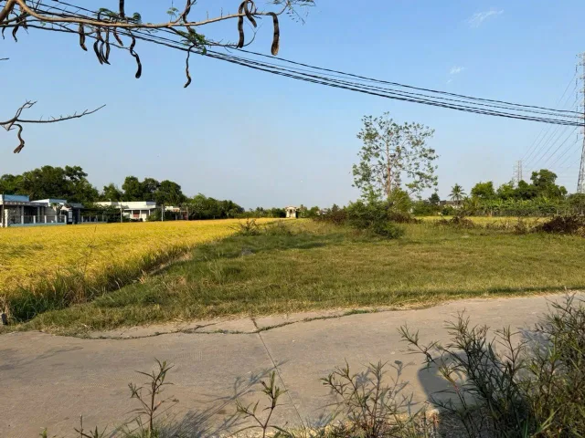 Nền thổ cư 160m2 (4x40) MT đường ấp Xóm Mới, Tân Lân, Cần Đước, Long An, giá rẻ 668tr