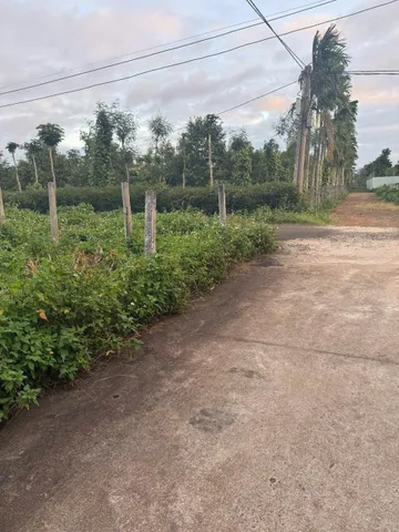 Bán đất 193.2m² có sẵn 60m² thổ cư ngang 5.3m giá 1.27 tỷ tại Phường Tân An