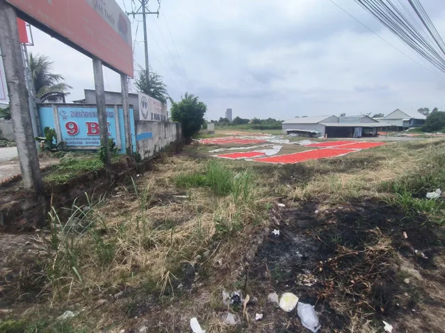 Bán đất hỗn hợp có thổ cư tại An Phong, Thanh Bình, Đồng Tháp.