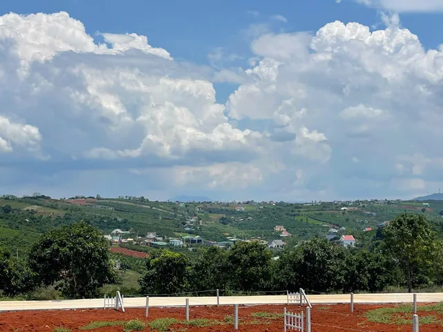 Đất View Đẹp ngay khu phố Đống Đa, Thị trấn Nam Ban chỉ 300m ra đường nhựa. Giá 500 triệu