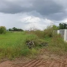 Bán 18.000m² đất lúa tại Tân Thạnh, Thanh Bình, Đồng Tháp