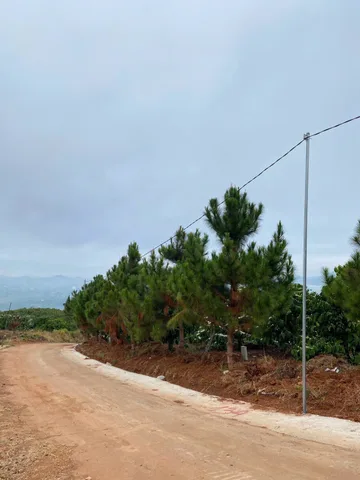 Đất thổ cư View Săn Mây mỗi ngày cách chợ đêm Đà Lạt 30km. Giá chỉ với  850 K/m2