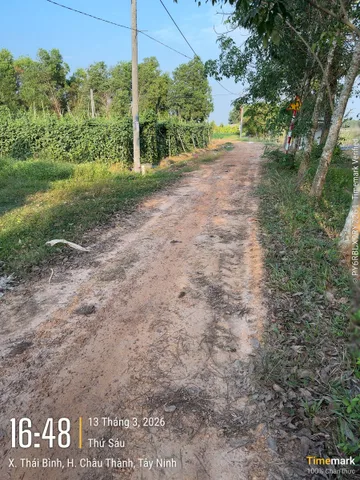 Bán đất tại Xã Thái Bình, 2 tỷ, 1290 m2, ngõ 3m
