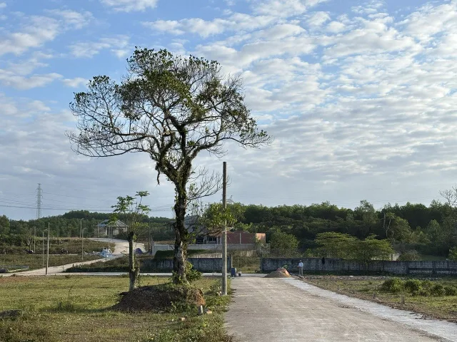MỞ BÁN KHU PHÂN LÔ DẠ LÊ, TP.HUẾ.GIÁ 531 TRIỆU