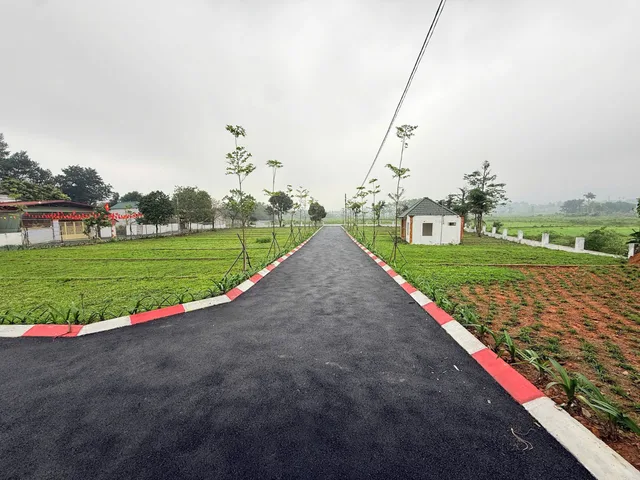 GIÁ CHỈ TỪ 9TR/M² – ĐÓN SÓNG KCN PHÚ SƠN, CƠ HỘI ĐẦU TƯ SINH LỜI CAO TẠI LƯƠNG SƠN!