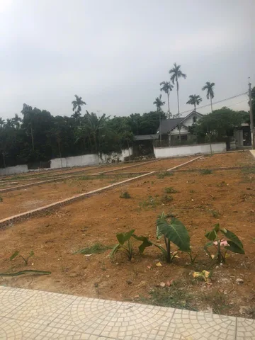 BÁN ĐẤT HOÀ LẠC, FUN THỔ CƯ,ĐỂ Ở, KINH DOANH,XÂY CĂN HỘ DÒNG TIỀN,DẦU TƯ SINH LỜI ĐỀU ĐƯỢC