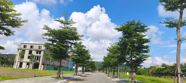 ĐẤT NỀN BIỆT THỰ CENTREVILLE LƯƠNG SƠN – 210M² – MT 10M – VỊ TRÍ ĐẸP