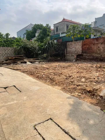 Đất F0 phượng dực