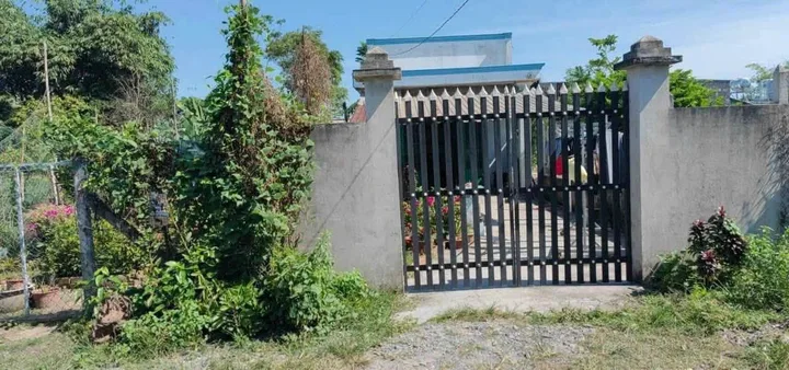 Bán nhà đường xe tải sát Lê Thị Bay xã Tân Thạnh Đông Củ Chi TPHCM, DT: 5x31m.