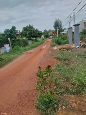 Bán đất tại Khu phố Gia Huỳnh, Trảng Bàng, Tây Ninh, dt 539,6m2 khu dân cư đông đúc