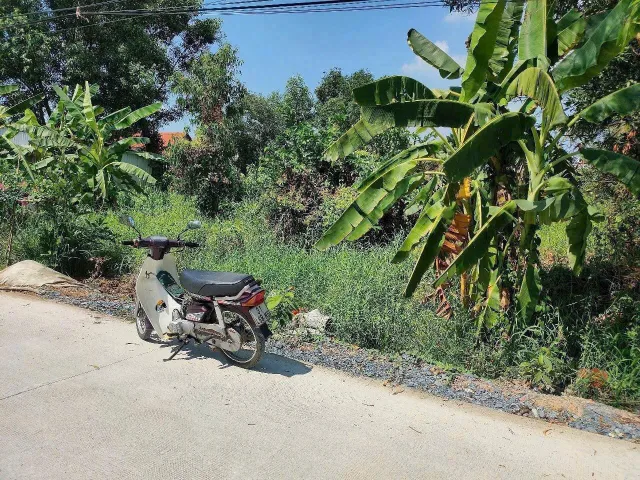 Bán đất ngay cổng KDC An Hạ gần KCN An Hạ xã Phạm Văn Hai huyện Bình Chánh TPHCM, DT: 20x52m.