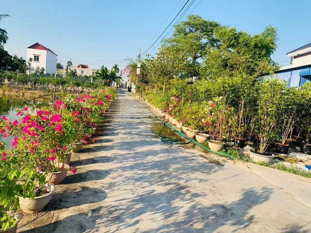 🔥 1,72 TỶ – LÔ ĐẤT RỘNG 102m², GIÁ QUÁ TỐT KHÓ TÌM 🔥