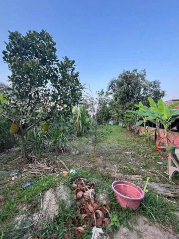 Bán gấp 620 triệu bao phí thuê gia đình cần tiền ra gấp 225m2
