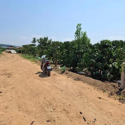 ĐẤT  ĐẸP – GIÁ TỐT – CHÍNH CHỦ CẦN BÁN NHÀ Thôn Phúc Hợp,  Phúc Thọ,  Lâm Hà, tỉnh Lâm Đồng