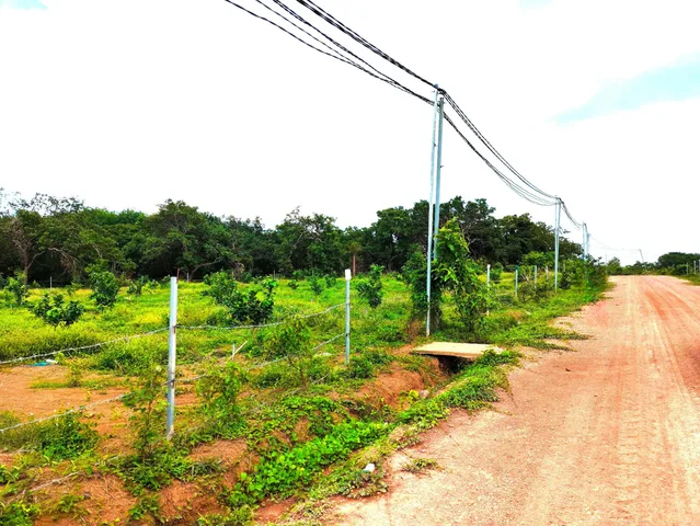 Bán đất 1000m² ngang 10m giá 300 triệu tại Xã Tân Lợi