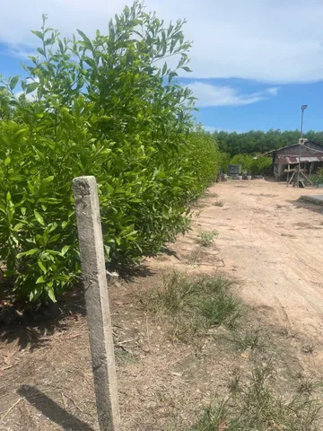 2500m2 LONG PHƯỚC có ONT CẠNH CTY ĐÔ THÀNH