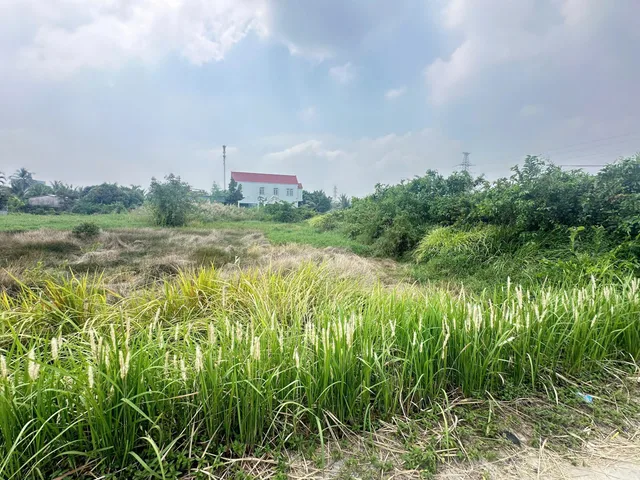 Bán đất mặt tiền đường Rừng Sác , đối diện cây xăng Hiệp Quế , Bình Khánh, Cần Giờ