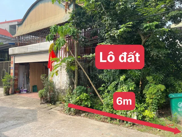 ĐẤT FULL THỔ CƯ 148M² – BĂNG 2 TỈNH 305 – GIÁ CHỈ 2,5X TỶ
