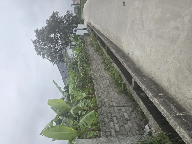 Bán đất