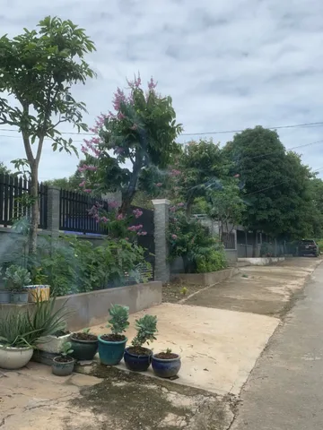 Bán nhà vườn mặt tiền Nguyễn Thị Châu 1/TL15 trung tâm xã Phú Hòa Đông Củ Chi TPHCM, DT: 17x42m.
