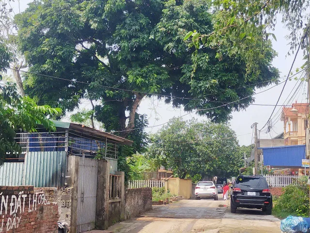Cần bán 41.7m2 đất Phụng Châu, đường 6m. Giá chỉ 3.4 tỷ.