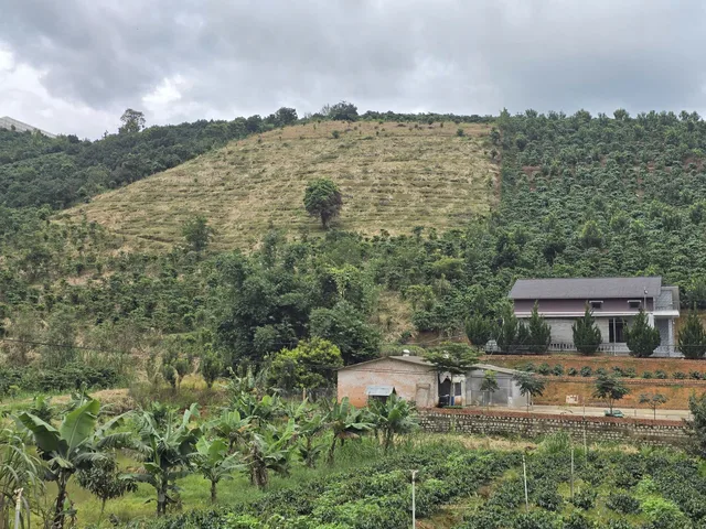 Farm lâm hà
