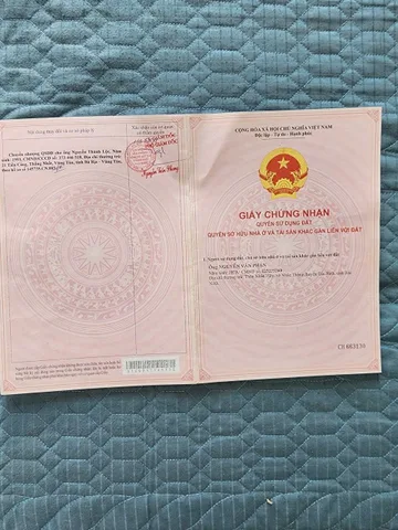 Đất trồng cây lâu năm