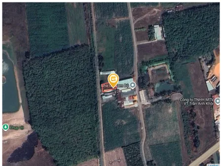 Bán đất 294.3m² full thổ cư ngang 10m giá 1.1 tỷ tại Phường Ninh Thạnh