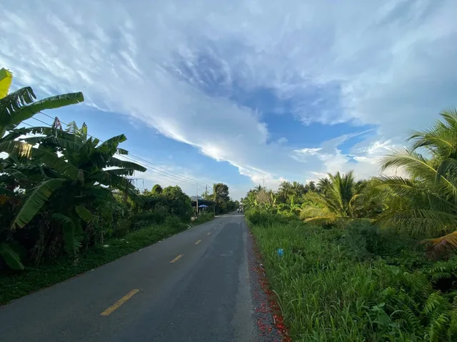 Bán đất 5200m² mặt tiền 45m lộ Cái Thia, Cái Bè, Tiền Giang