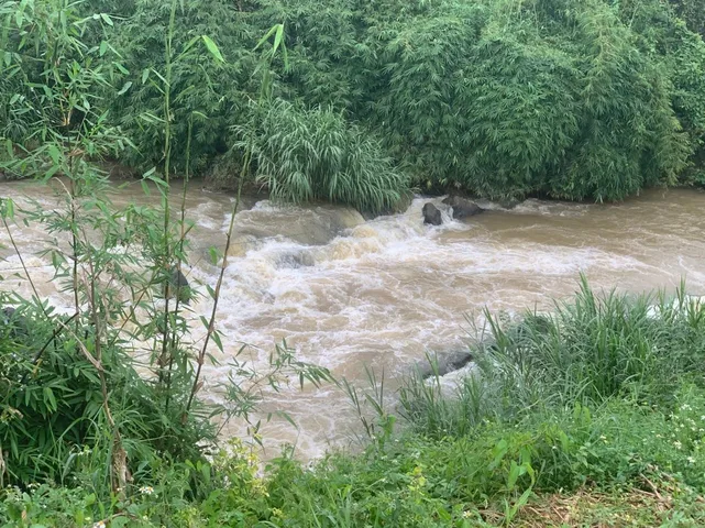 Em có mấy lô đất cần bán